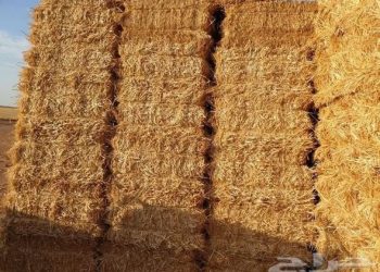 La souveraineté alimentaire : du blé au foin
