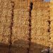 La souveraineté alimentaire : du blé au foin